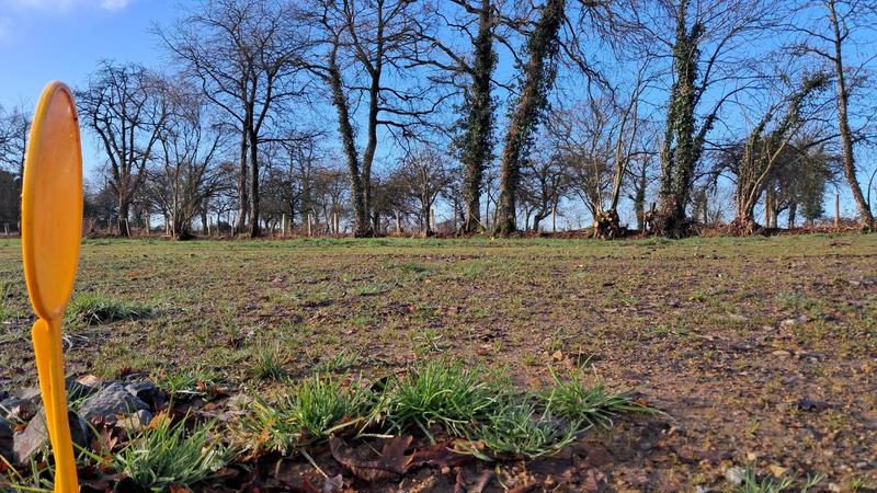 Terrain constructible - 438 m²