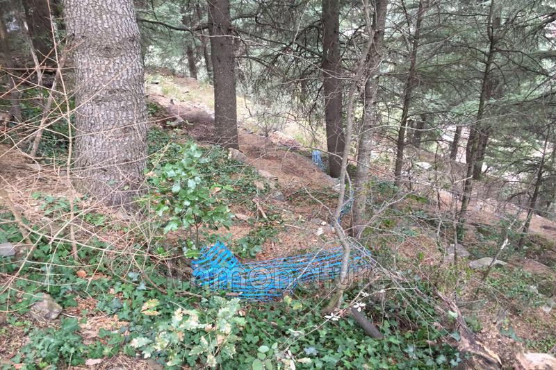 Terrain de loisirs - 1 250 m²