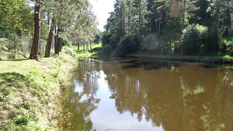 Terrain de loisirs - 3 900 m²