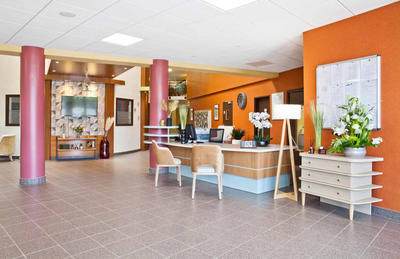 Studio - 20 m² - 1 pièce