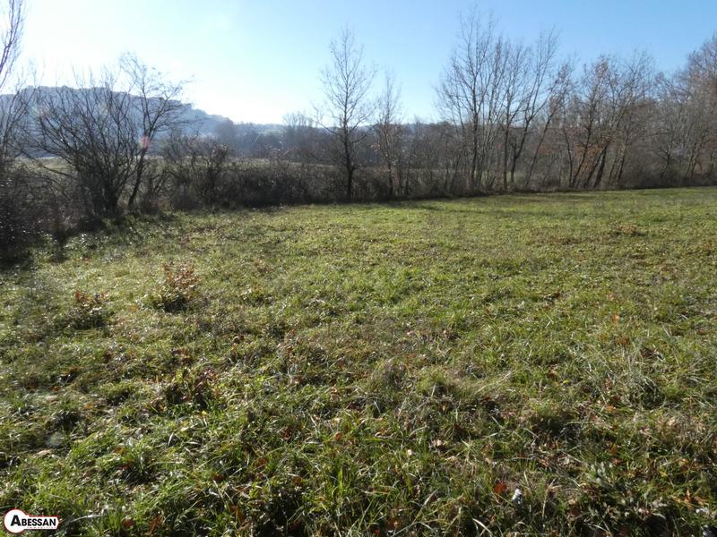 Terrain constructible - 6 500 m²