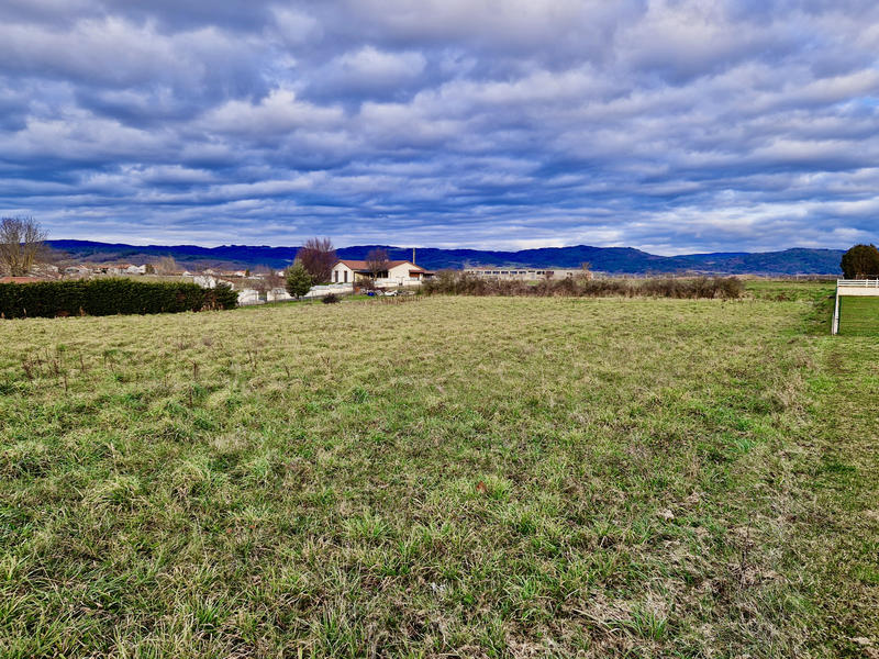 Terrain - 3 989 m²