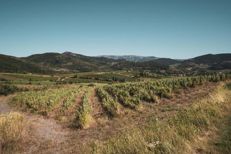 Terrain - 148 075 m²