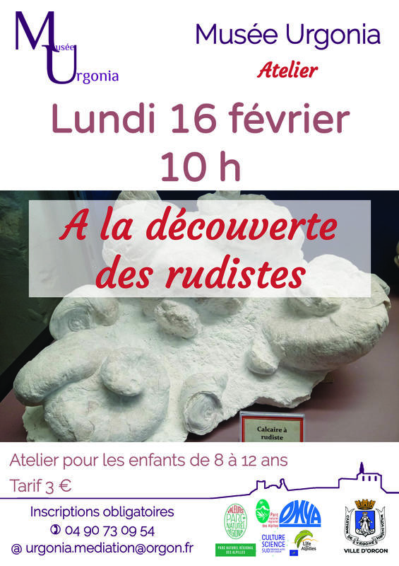 Atelier "A la découverte des rudistes"