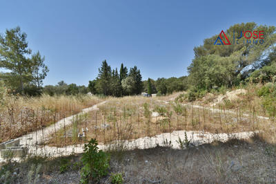 Terrain - 2 500 m²