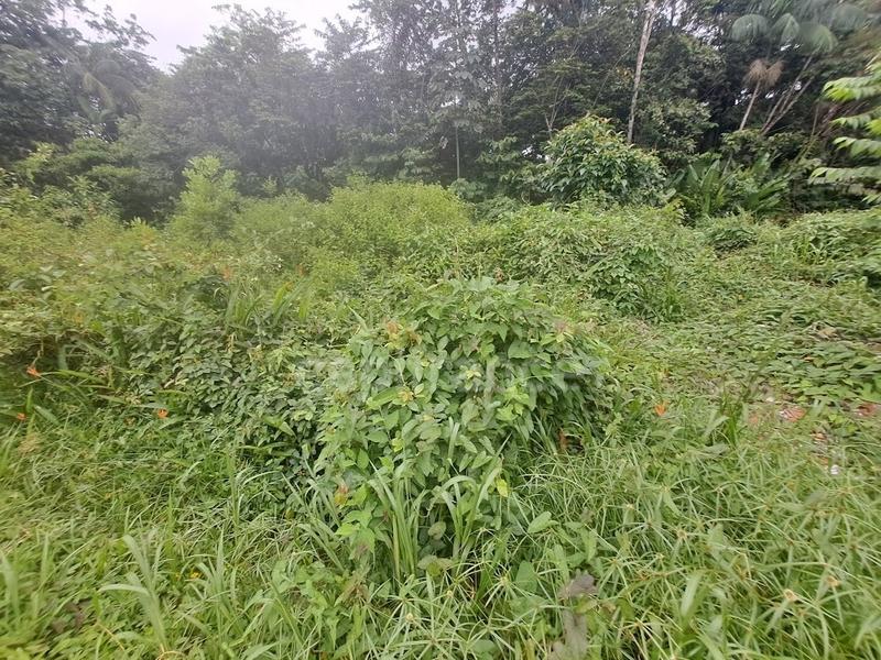 Terrain constructible - 3 444 m²