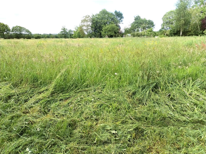 Maison - 48 m² - 2 pièces