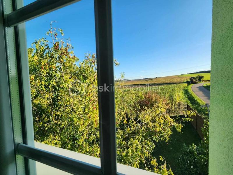 Maison traditionnelle - 308 m² - 10 pièces