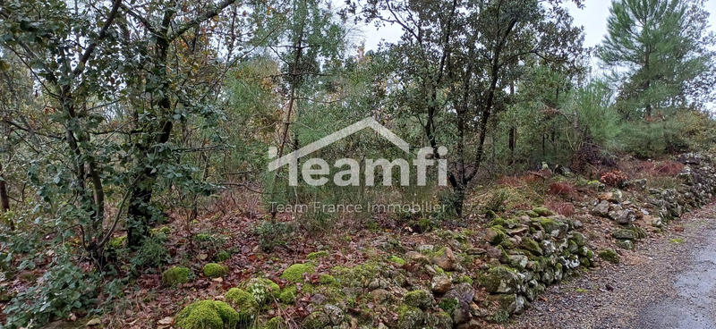 Terrain agricole - 14 279 m²