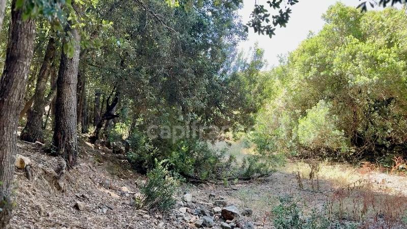 Terrain constructible - 3 380 m²