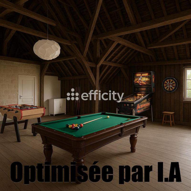 Maison - 330 m² - 9 pièces