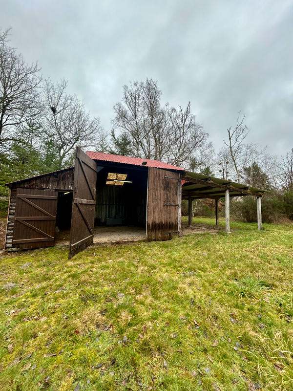 Maison de maîtres - 395 m² - 10 pièces