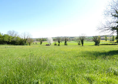 Terrain - 12 124 m²