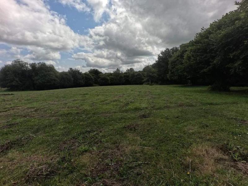 Maison en pierre - 116 m² - 7 pièces