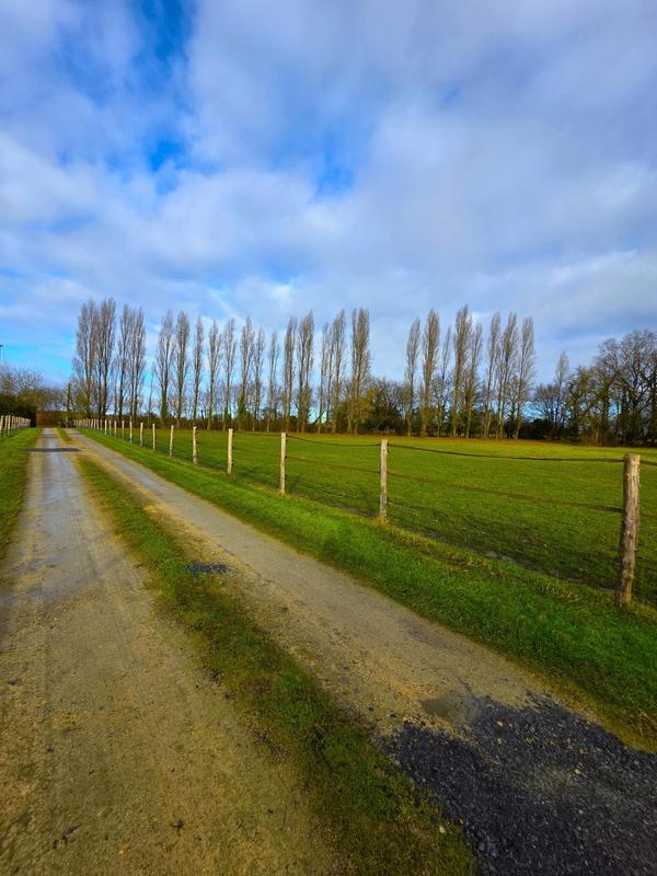 Maison - 200 m² - 9 pièces