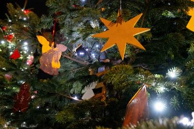 Conte théâtralisé : au pays des sapins