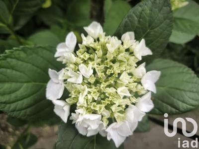 Maison - 195 m² - 7 pièces