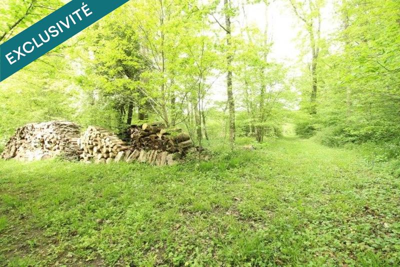 Maison - 208 m² - 9 pièces