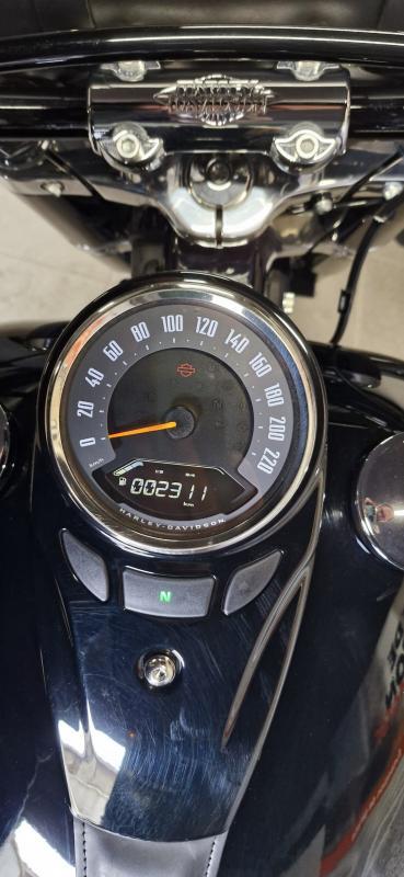 Harley Davidson Softail Slim 1745 Flsl