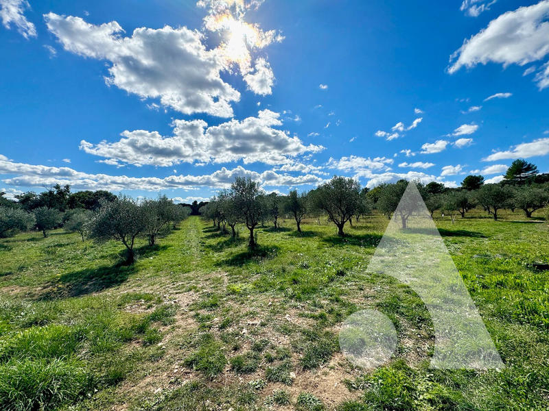 Maison - 640 m² - 18 pièces