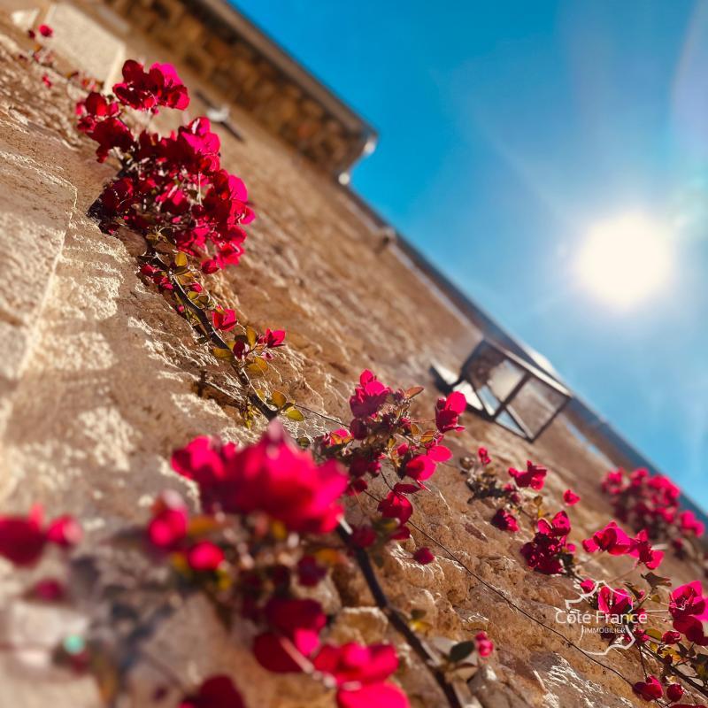 Villa - 239 m² - 9 pièces