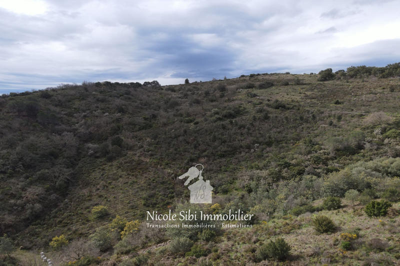 Terrain - 54 574 m²