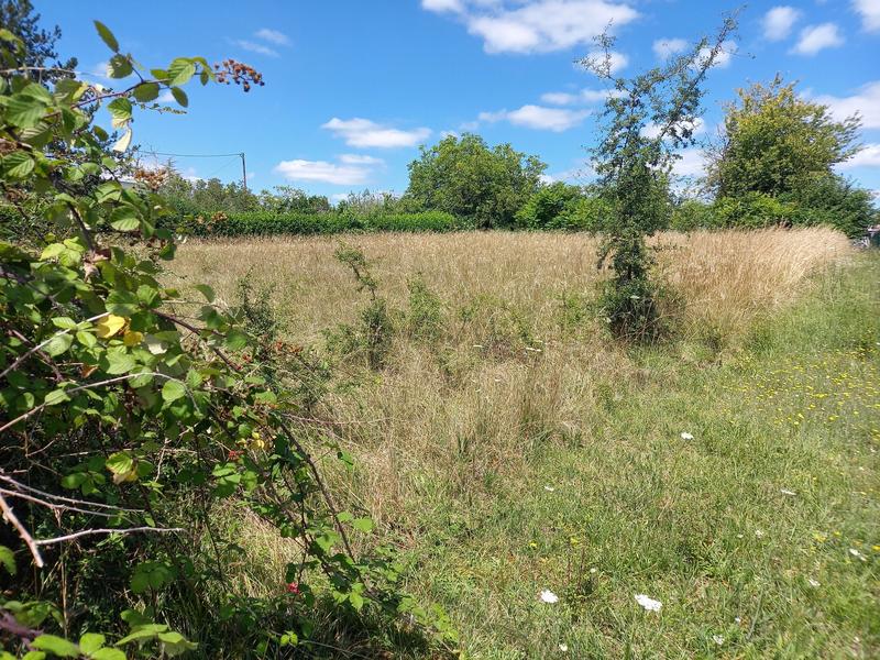 Terrain agricole - 1 502 m²