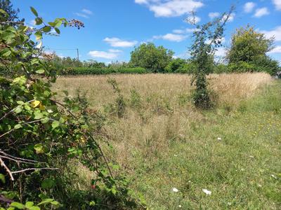 Terrain agricole - 1 502 m²