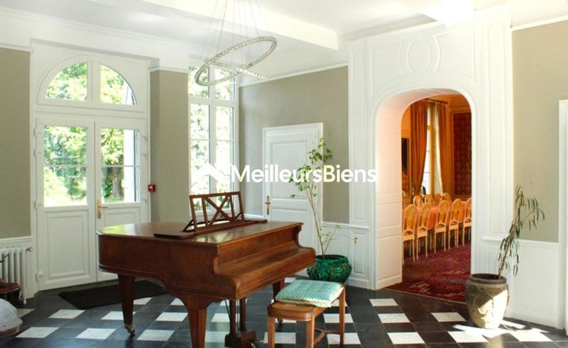 Château - 1 250 m² - 30 pièces