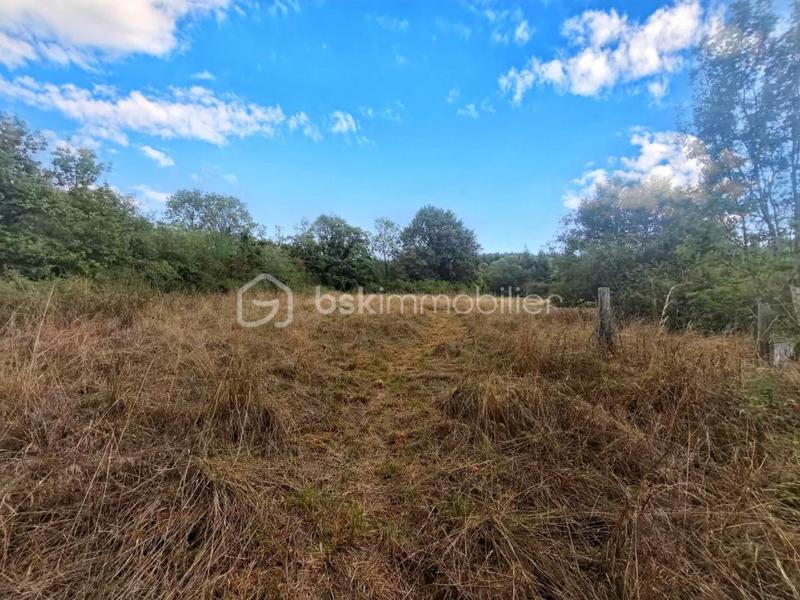 Ferme - 152 m² - 6 pièces