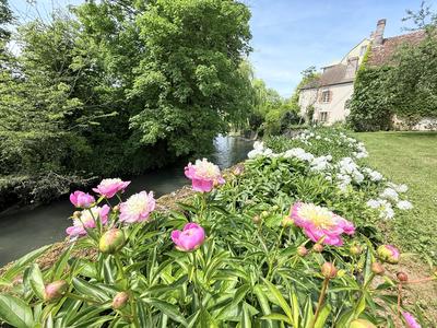 Maison - 750 m² - 25 pièces