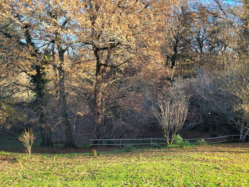 Châlet - 150 m² - 7 pièces