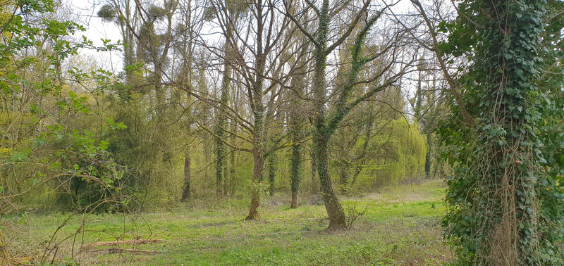 Propriété - 160 m² - 5 pièces