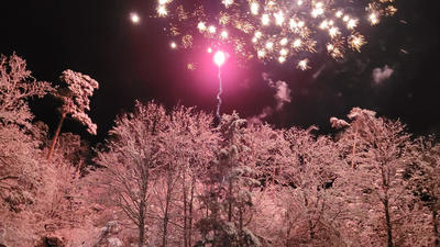 Le séquoia de Noël à Lutzelhouse