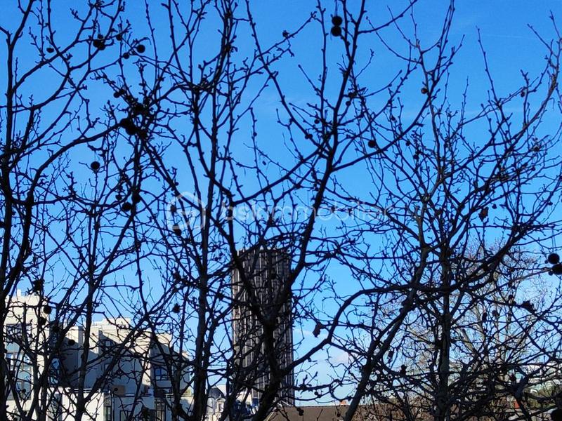 Studio - 23 m² - 1 pièce