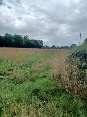 Terrain constructible - 1 440 m²