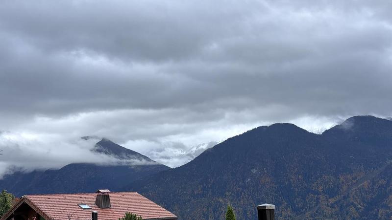 Studio - 21 m² - 1 pièce