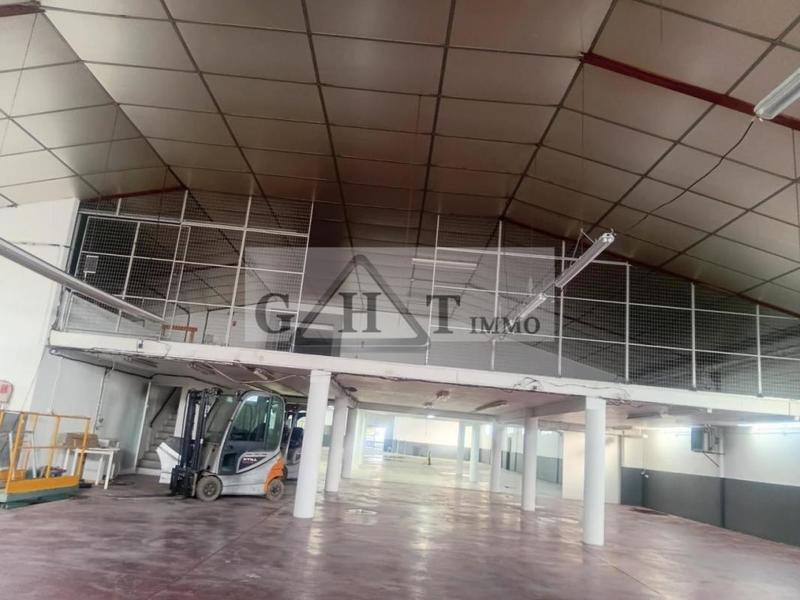 Entrepôt - 1 300 m²