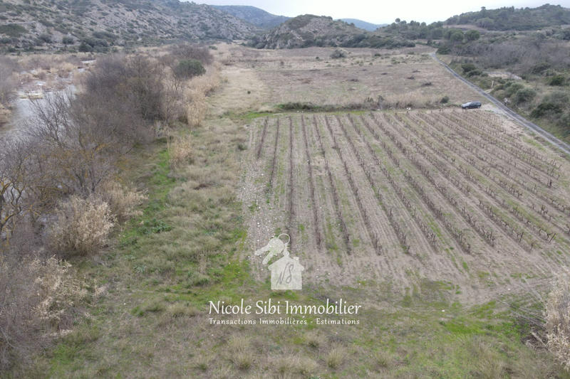 Terrain agricole - 5 600 m²