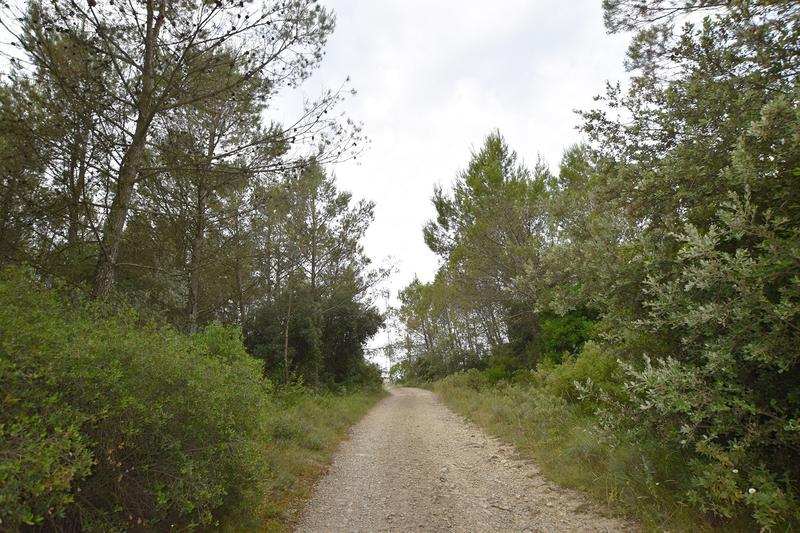 Terrain agricole - 2 005 m²