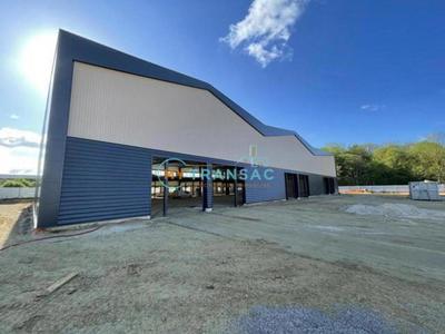 Local d'activité / Entrepôt - 432 m²