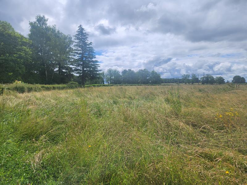 Maison - 81 m² - 4 pièces