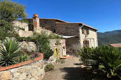 Mas - 295 m² - 11 pièces