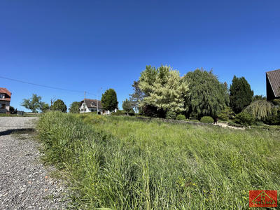 Terrain - 787 m²