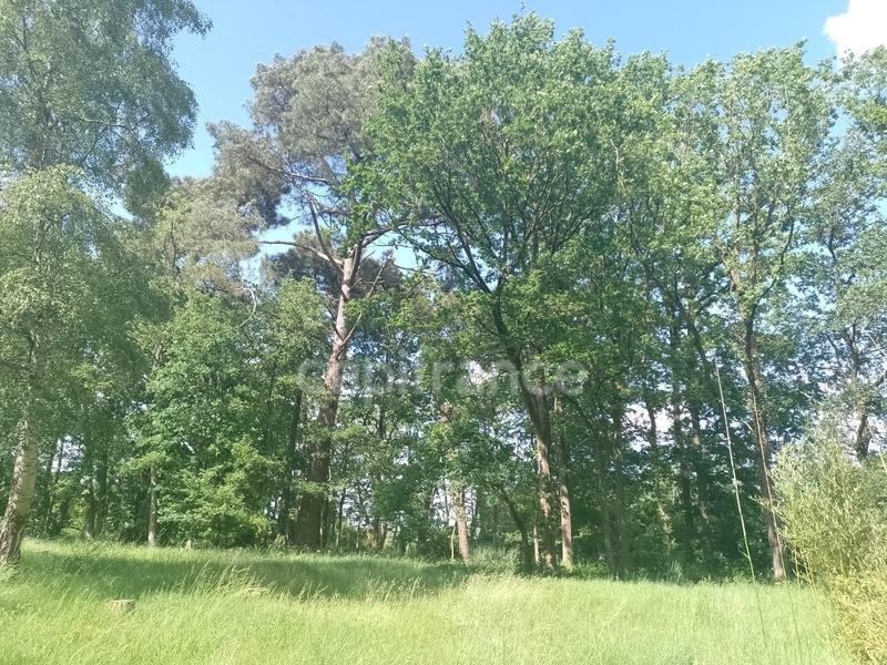 Maison - 127 m² - 5 pièces