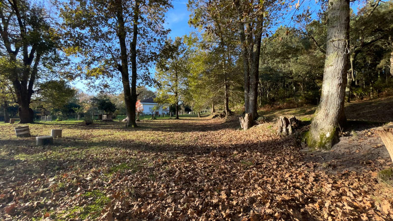 Maison - 220 m² - 7 pièces