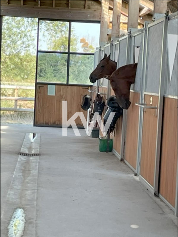 Maison - 220 m² - 7 pièces