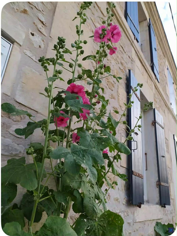 Appartement - 130 m²