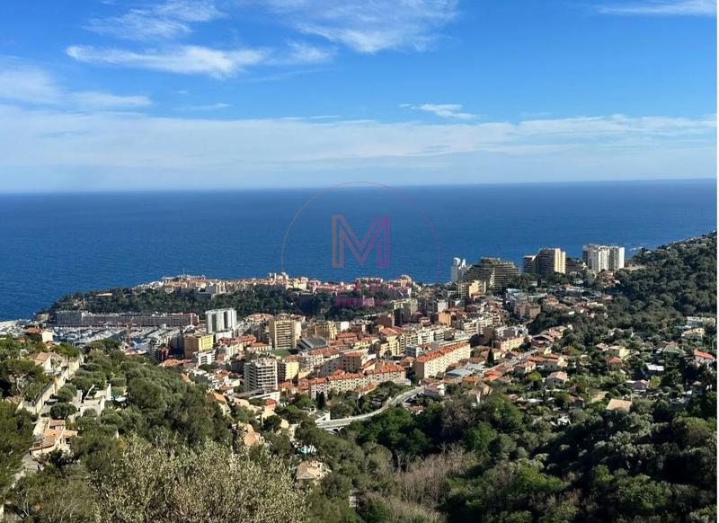 Maison - 300 m² - 10 pièces