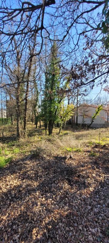 Terrain constructible - 717 m²